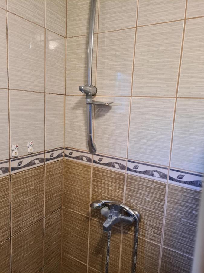 Saray Downtown Apartment Private Parking Free Wifi Sarajevo Exterior foto